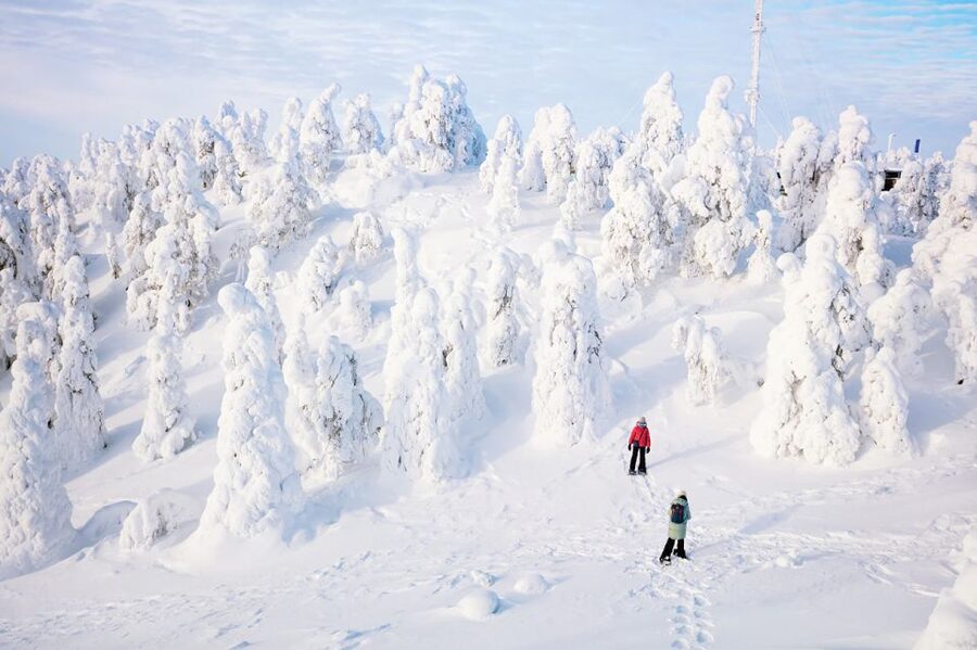Rovaniemi: Hiking and Snowshoeing Adventure in Lapland - From Rovaniemi to the Arctic forest