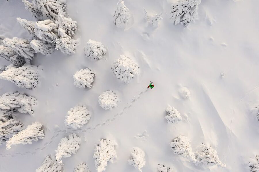 Rovaniemi: Hiking and Snowshoeing Adventure in Lapland - Nature talk, photographs, and wildlife
