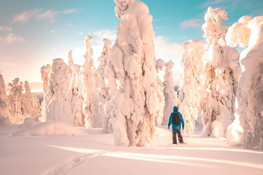 Rovaniemi: Hiking and Snowshoeing Adventure in Lapland - Snow conditions can change the whole experience