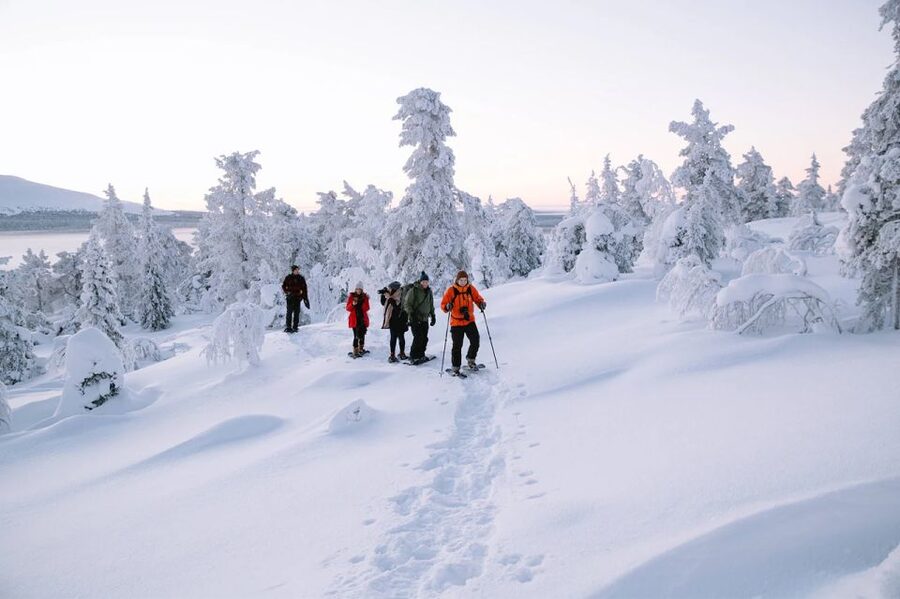 Rovaniemi: Hiking and Snowshoeing Adventure in Lapland - Into the forest and across the frozen lake