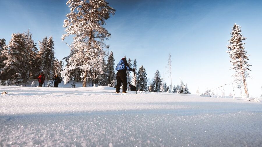 Rovaniemi: Lapland Ski Trekking Safari - Leaving Rovaniemi for the Taiga forest