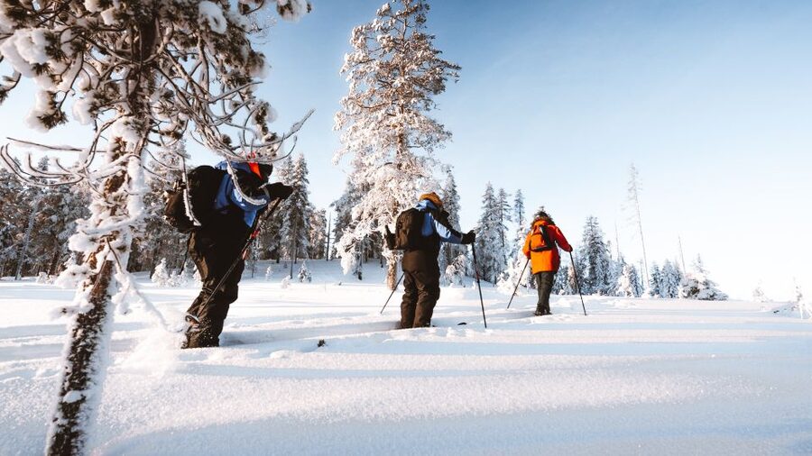 Rovaniemi: Lapland Ski Trekking Safari - The campfire stop is more than a snack break