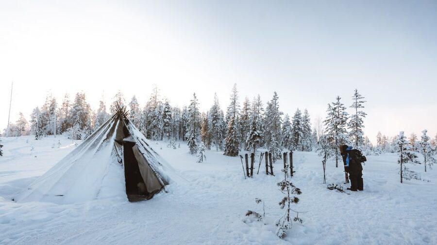 Rovaniemi: Lapland Ski Trekking Safari - Who should book it?