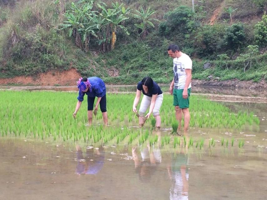 Sa Pa: 6-Hours Muong Hoa Valley Trek with Local Ethnic guide - Key points before you book