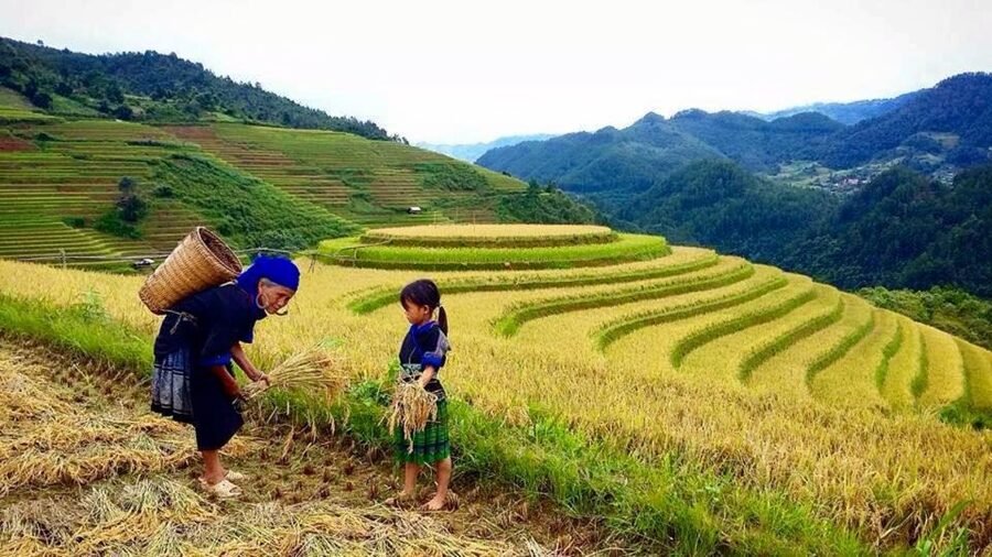 Sa Pa: 6-Hours Muong Hoa Valley Trek with Local Ethnic guide - What the highest praise gets right