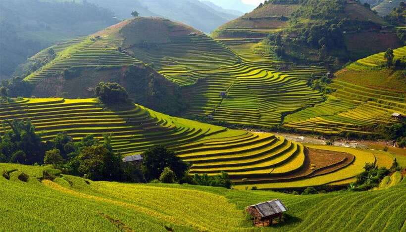 Sa Pa: Muong Hoa Valley Trek and Local Ethnic Villages - Sa Pa’s Valley Walk Starts With Rice Terraces and Mist