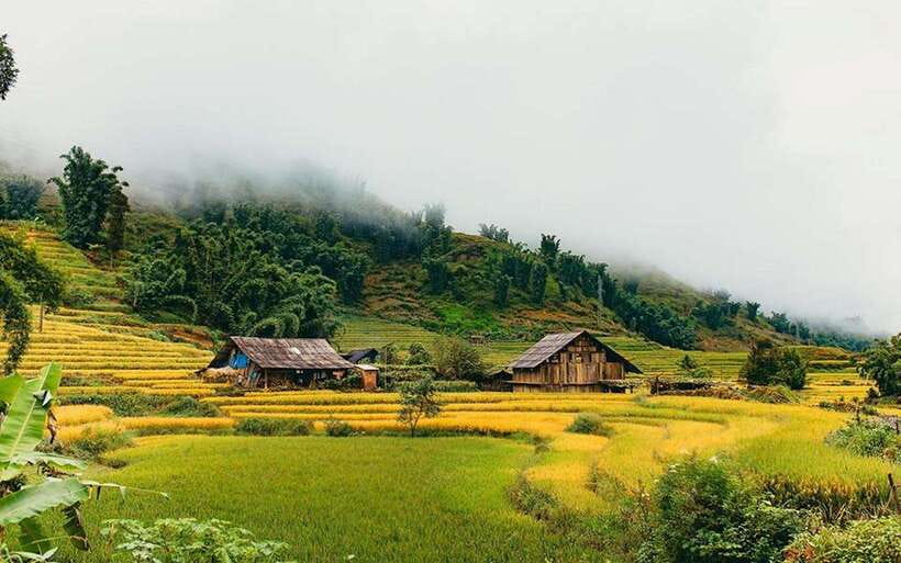 Sa Pa: Muong Hoa Valley Trek and Local Ethnic Villages - Should You Book the Muong Hoa Valley Trek?