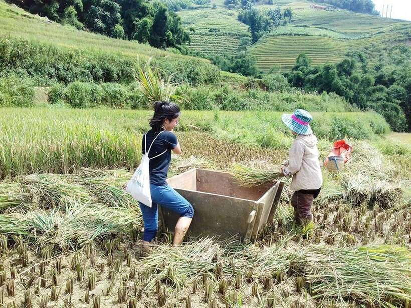 Sa Pa: Muong Hoa Valley Trek and Local Ethnic Villages - Lao Chai Shows the Valley’s Black Hmong Way of Life