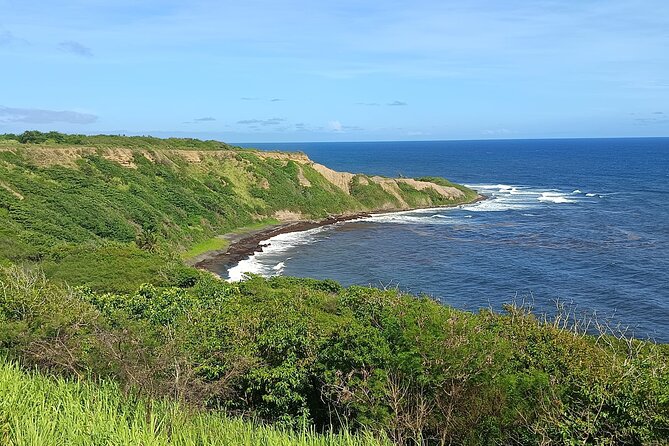 Saint Kitts Train Trek - Unlimited drinks, music, and a lively train atmosphere