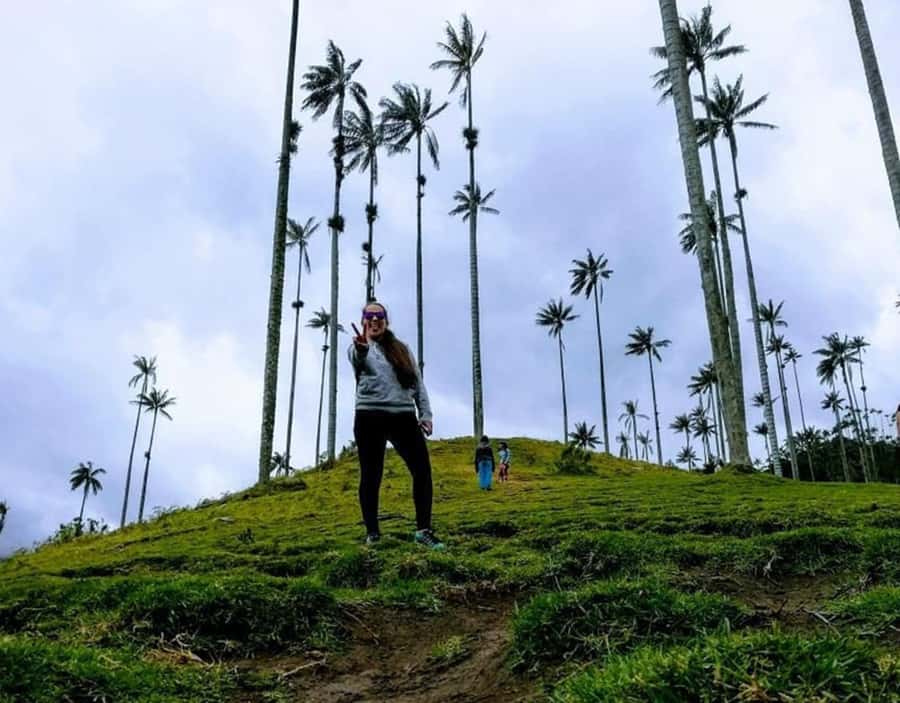 Salento/Pereira: Cocora Valley & Salento Hiking Private Tour - Why Cocora Valley deserves a half-day