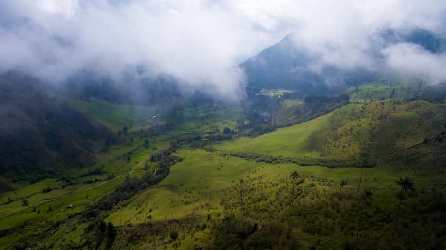Salento/Pereira: Cocora Valley & Salento Hiking Private Tour - Walking below the Quindío wax palms