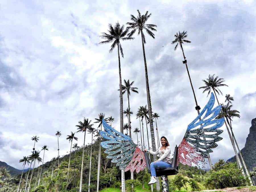 Salento/Pereira: Cocora Valley & Salento Hiking Private Tour - The traditional Willys ride