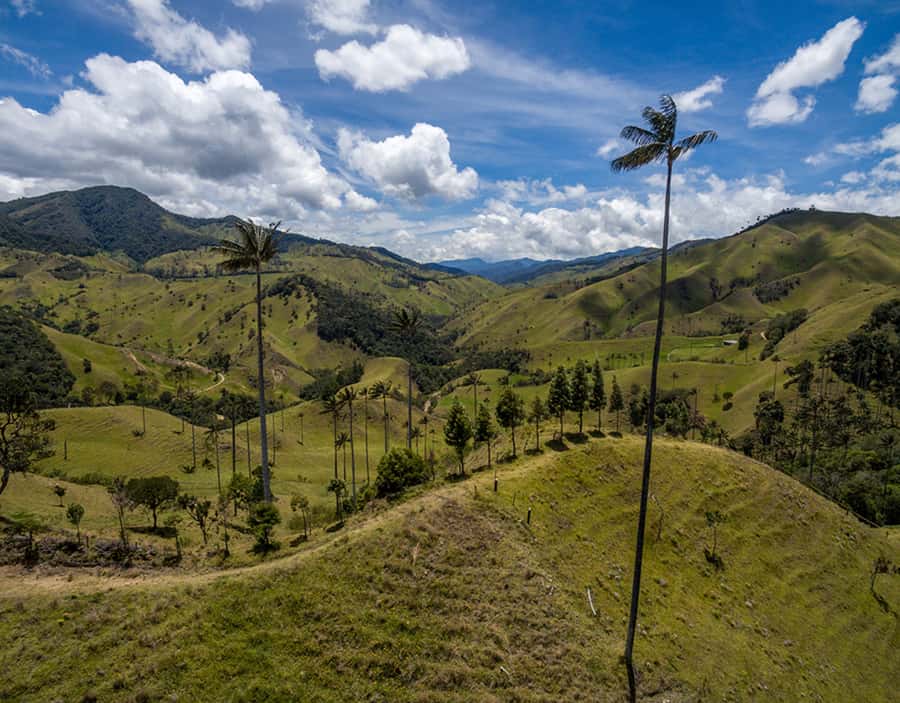Salento/Pereira: Cocora Valley & Salento Hiking Private Tour - The route to the viewpoints
