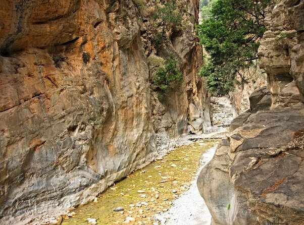 Samaria Gorge Hiking from Chania with Professional Hiking Guide - Ferry and bus ride back to Chania
