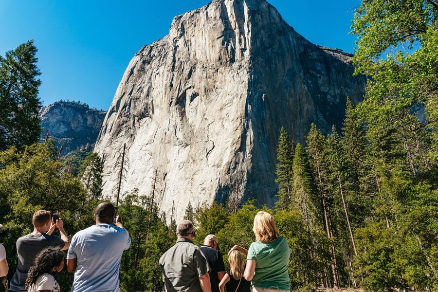 San Francisco: Yosemite National Park & Giant Sequoias Hike - Walking among the Giant Sequoias