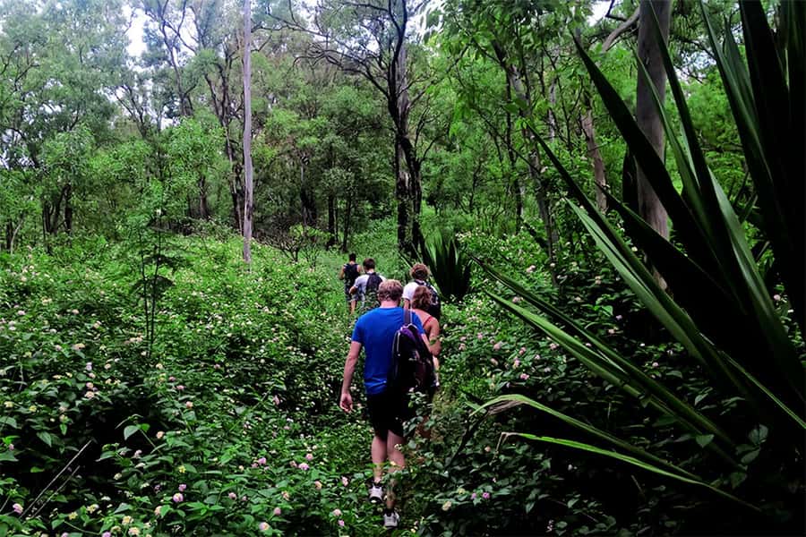 Santiago Island: Serra Malagueta & Tarrafal Beach Trek Tour - What to pack for the 8.5-kilometer trail