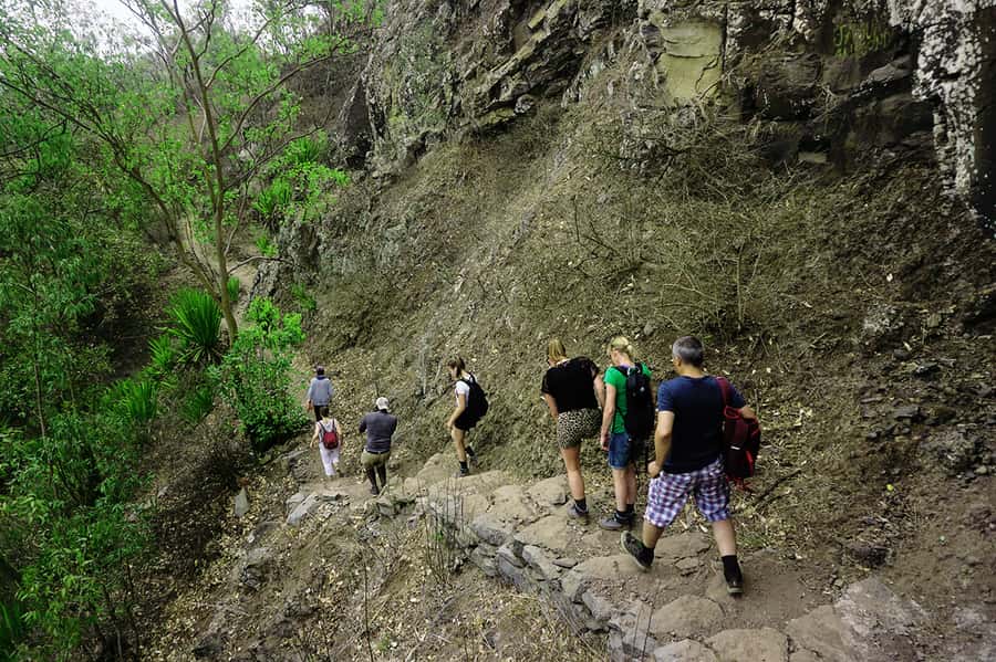 Santiago Island: Serra Malagueta & Tarrafal Beach Trek Tour - Plants, birds, and the value of a local guide