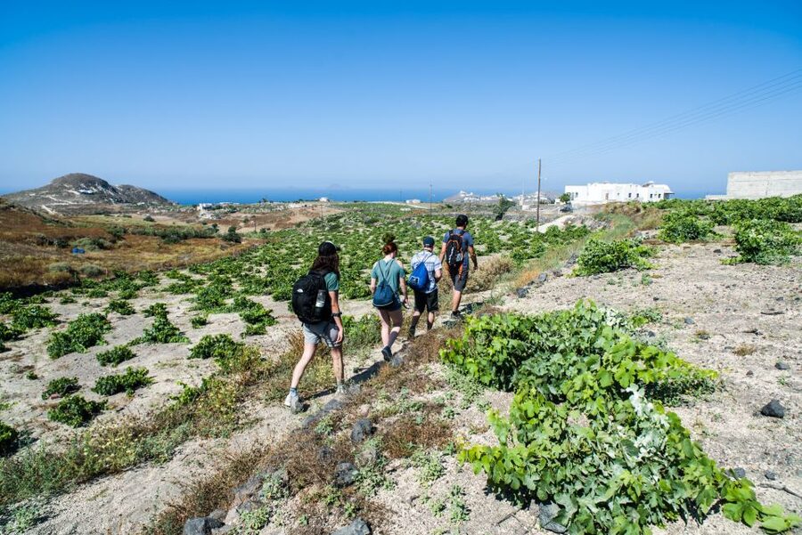 Santorini: Cooking Class and Easy Hike - What lunch adds to the experience