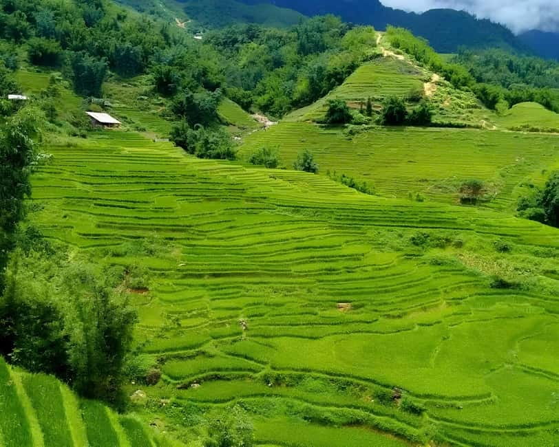 Sapa 1 Day Long Trek: Trek to Hau Thao and Sa Seng Villages - Hau Thao brings the culture into focus