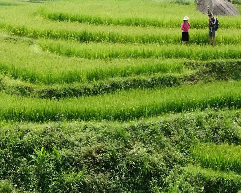 Sapa 1 Day Long Trek: Trek to Hau Thao and Sa Seng Villages - How hard is the Sapa trek?