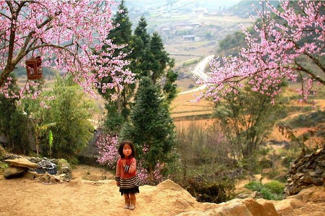 Sapa 3 Days 2 Nights Trekking Tour (1 Night In Ta Van Village, 1 Night In Hotel) - Handling the souvenir sellers