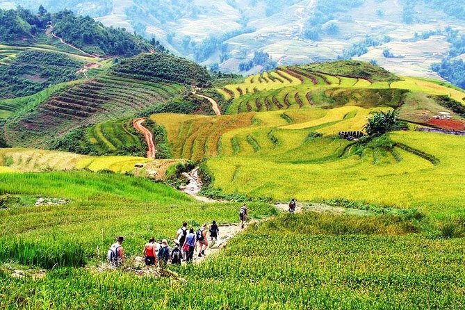 Sapa 3 Days 2 Nights Trekking Tour (1 Night In Ta Van Village, 1 Night In Hotel) - Day two: the long walk from Y Linh Ho to Ta Van