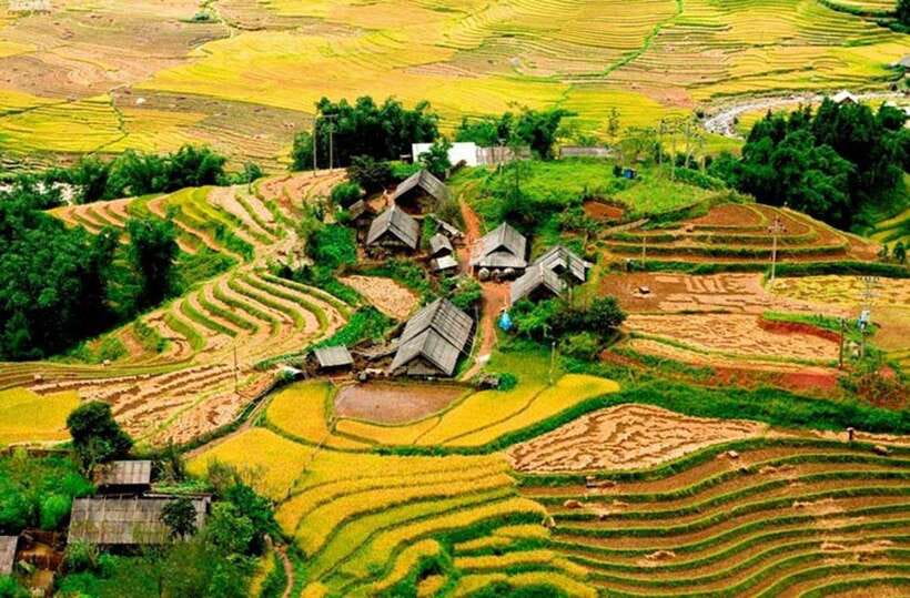 Sapa: Eco Adventure Terrace Fields and Local Villages Trek - Why this Sapa trek feels different from a town excursion