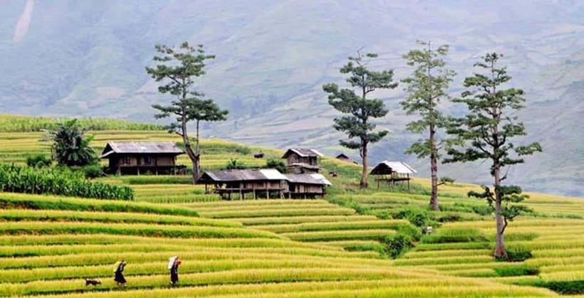 Sapa: Eco Adventure Terrace Fields and Local Villages Trek - Y Linh Ho and the river crossing