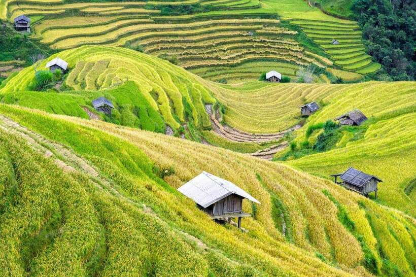 Sapa: Eco Adventure Terrace Fields and Local Villages Trek - Lao Chai Sang lunch at about 12:30 PM