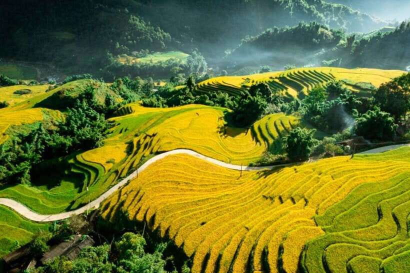 Sapa: Eco Adventure Terrace Fields and Local Villages Trek - Ta Van and the Dzay connection
