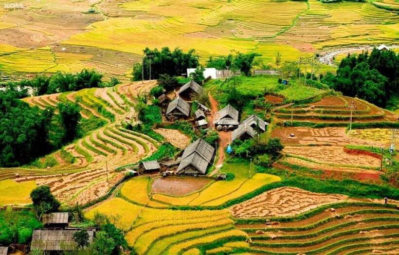 Sapa: Eco Adventure Terrace Fields and Local Villages Trek - What the guide adds to the day