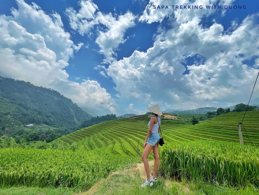 Sapa: Private The Most Beautiful Terraced Fields Trekking - Why these Sapa terraces are worth your time