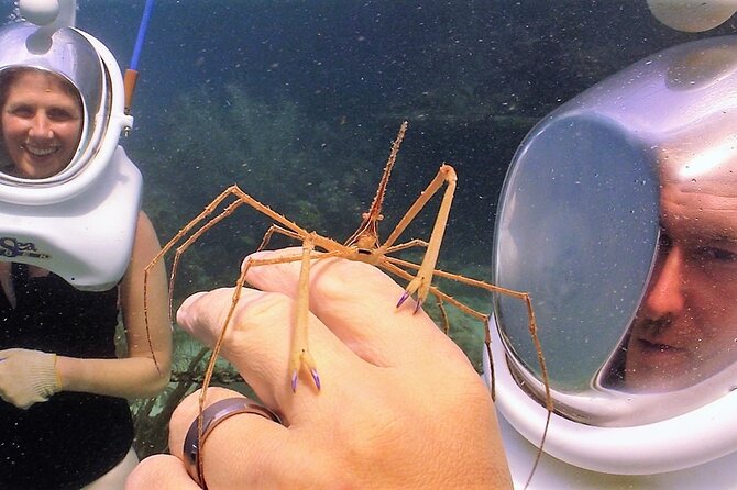 Sea Trek Helmet Dive at Coral World Ocean Park - The guides are part of the experience