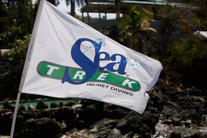Sea Trek Helmet Dive at Coral World Ocean Park - Who will enjoy this most?