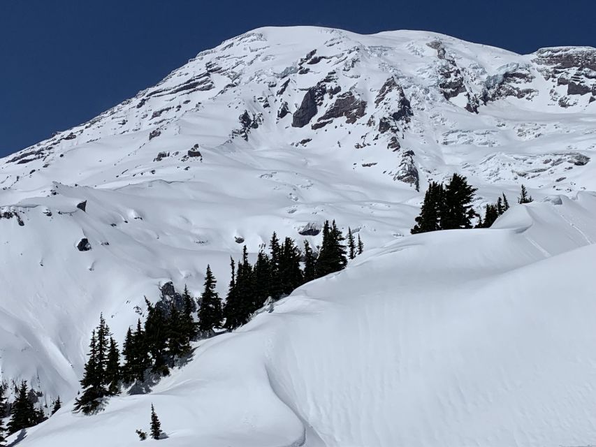 Seattle: Mt. Rainier Park Guided Full-Day Tour - Why Mt. Rainier Makes a Fine Full-Day Escape