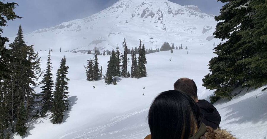 Seattle: Mt. Rainier Park Guided Full-Day Tour - From 415 Pine Street to the Park