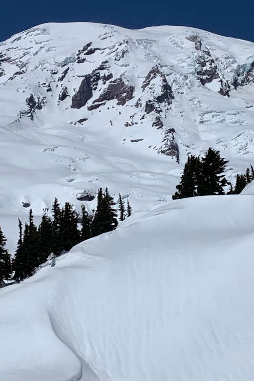 Seattle: Mt. Rainier Park Guided Full-Day Tour - How Much Hiking Should You Expect?