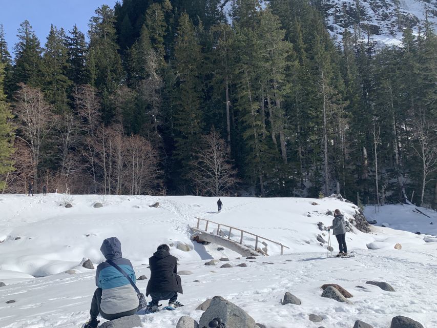 Seattle: Mt. Rainier Park Guided Full-Day Tour - Guides Who Shape the Day