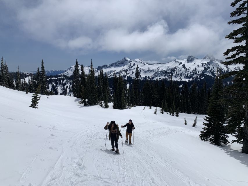 Seattle: Mt. Rainier Park Guided Full-Day Tour - Lunch, Photos, and the Shape of the Day
