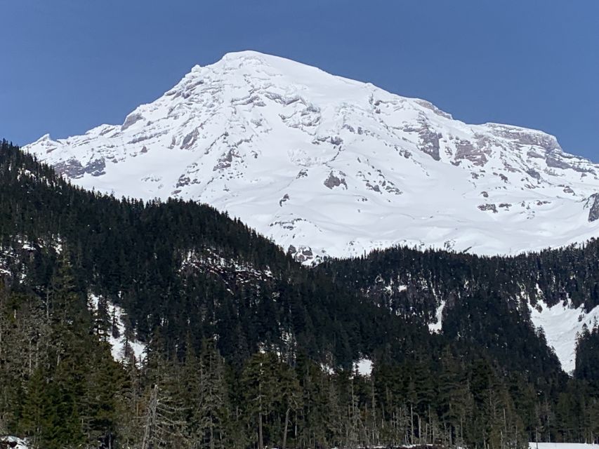 Seattle: Mt. Rainier Park Guided Full-Day Tour - Is the $179 Price Fair?