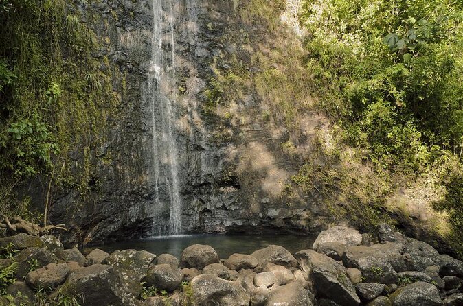 Self guided Hike Trail to Nature Walk & Waterfall - What the three-hour outing is really like