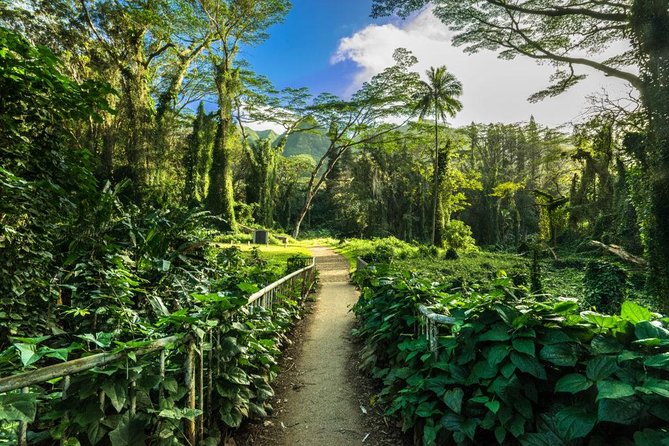 Self guided Hike Trail to Nature Walk & Waterfall - Entering Manoa Valley and its rainy forest