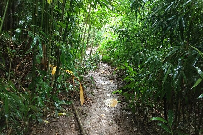 Self guided Hike Trail to Nature Walk & Waterfall - Puʻu ʻUalakaʻi State Park and the Honolulu panorama
