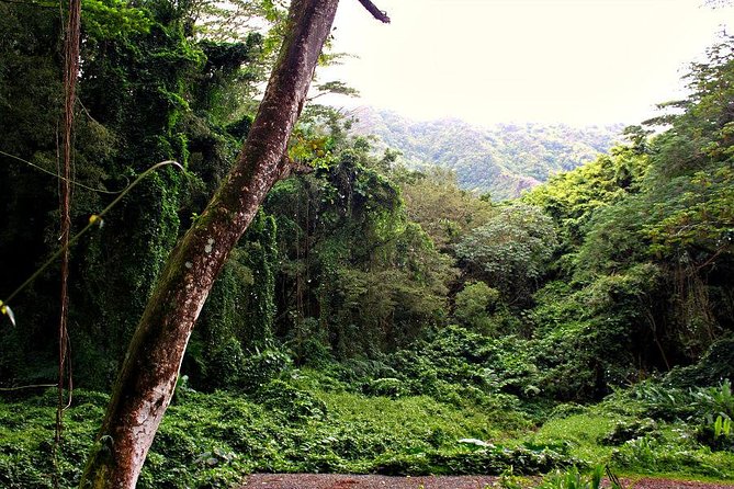 Self guided Hike Trail to Nature Walk & Waterfall - Booking, weather, and practical details