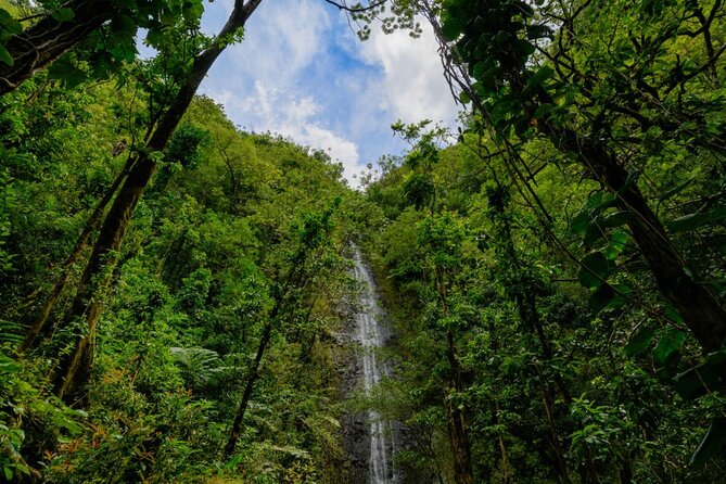 Self guided Hike Trail to Nature Walk & Waterfall - Should you book Manoa Falls with Karma Tour Hawaii?