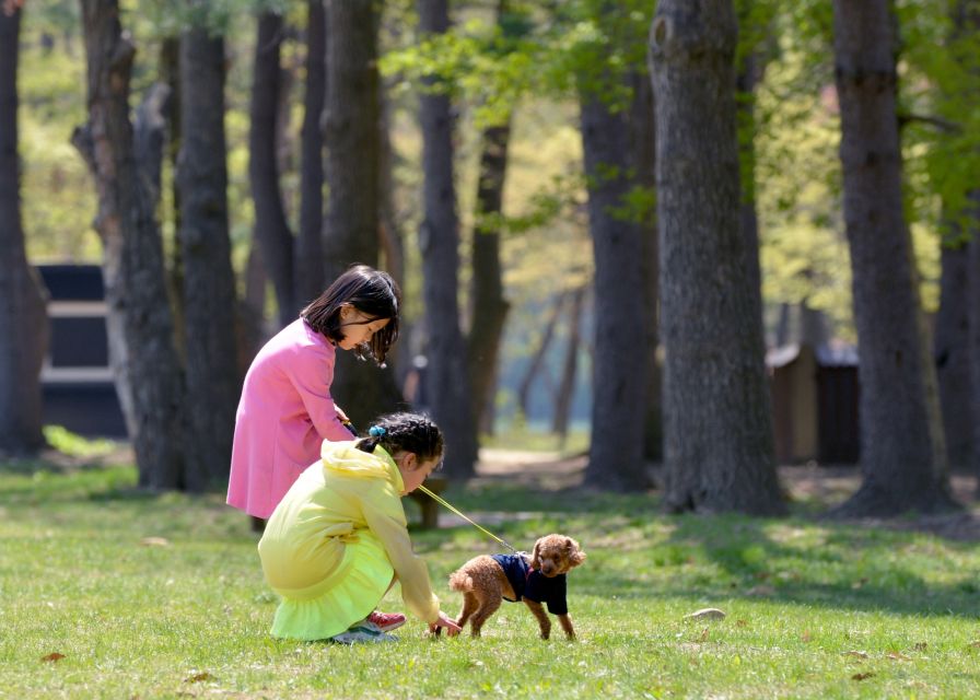 Seoul: Mt Seorak + Naksansa Temple or Nami Island Group Tour - Nami Island for an easier, more scenic afternoon