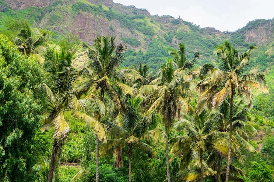 Serra Malagueta: Principal Valley Hike & Lunch with Locals - The east-coast drive back to Praia