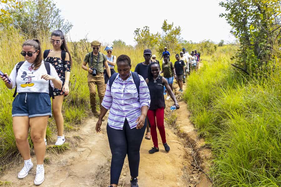 Shimba Hills Day Safari & Sheldrick Falls Hike Private Tour - The early drive and arrival at the reserve