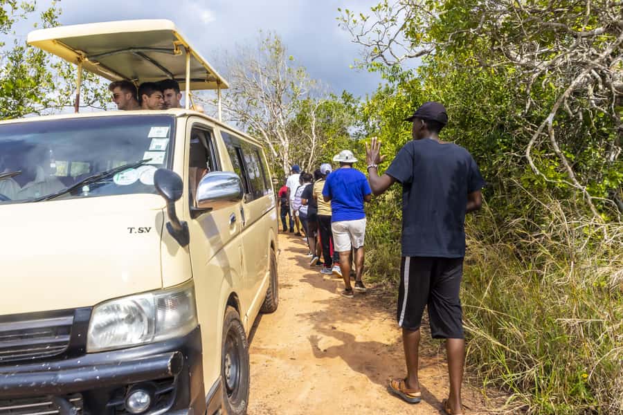 Shimba Hills Day Safari & Sheldrick Falls Hike Private Tour - Returning to the reserve for more wildlife