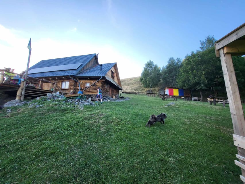 Sibiu: Cindrel Mountains Hike with Traditional Brunch - The physical effort deserves honest attention